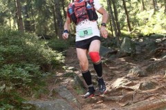 SAAR19_155