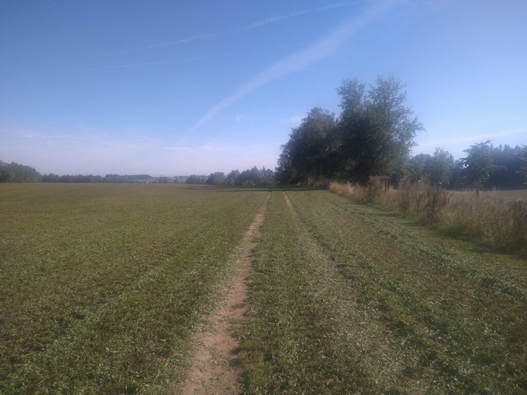 SAAR23_00001