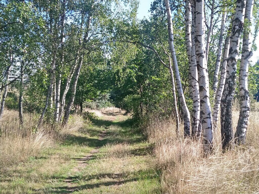 SAAR23_00002