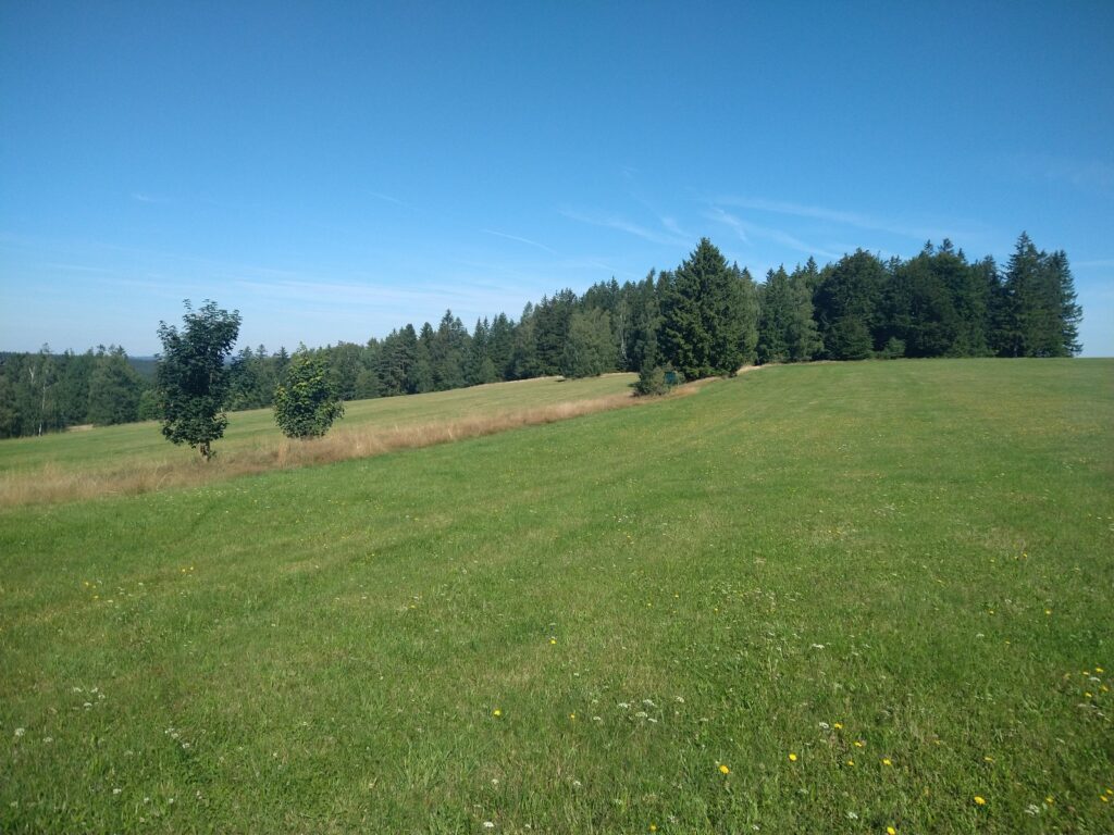 SAAR23_00005