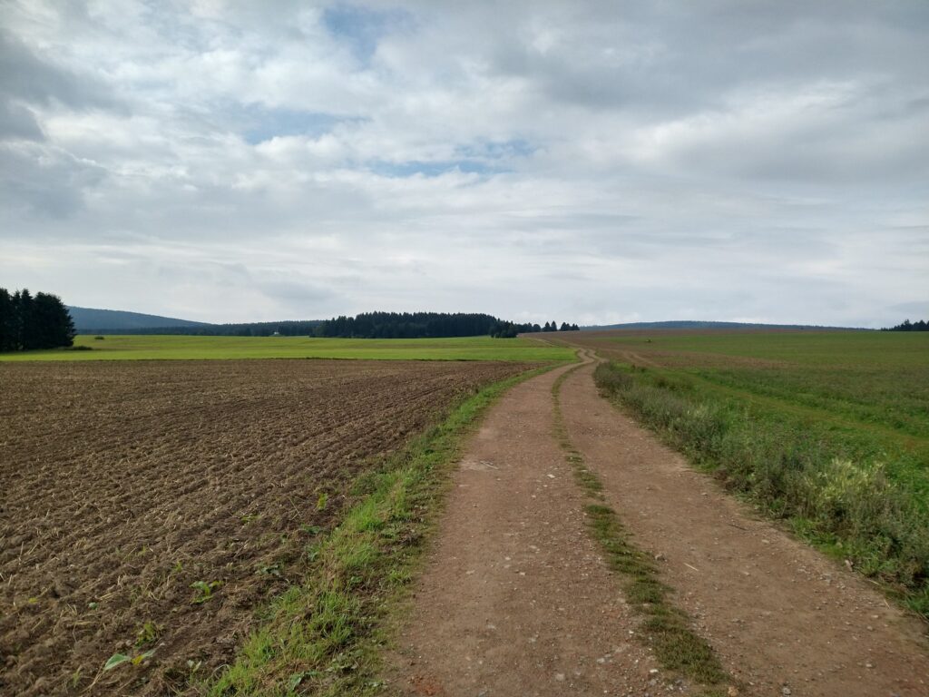 SAAR23_00006