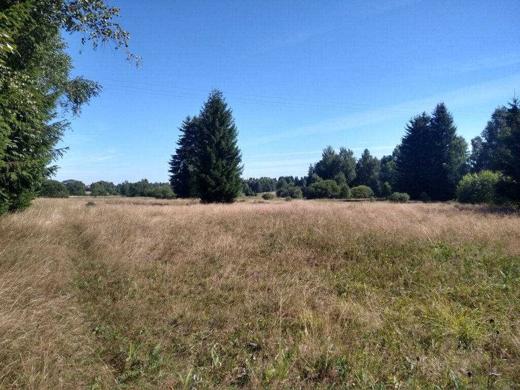 SAAR23_00007