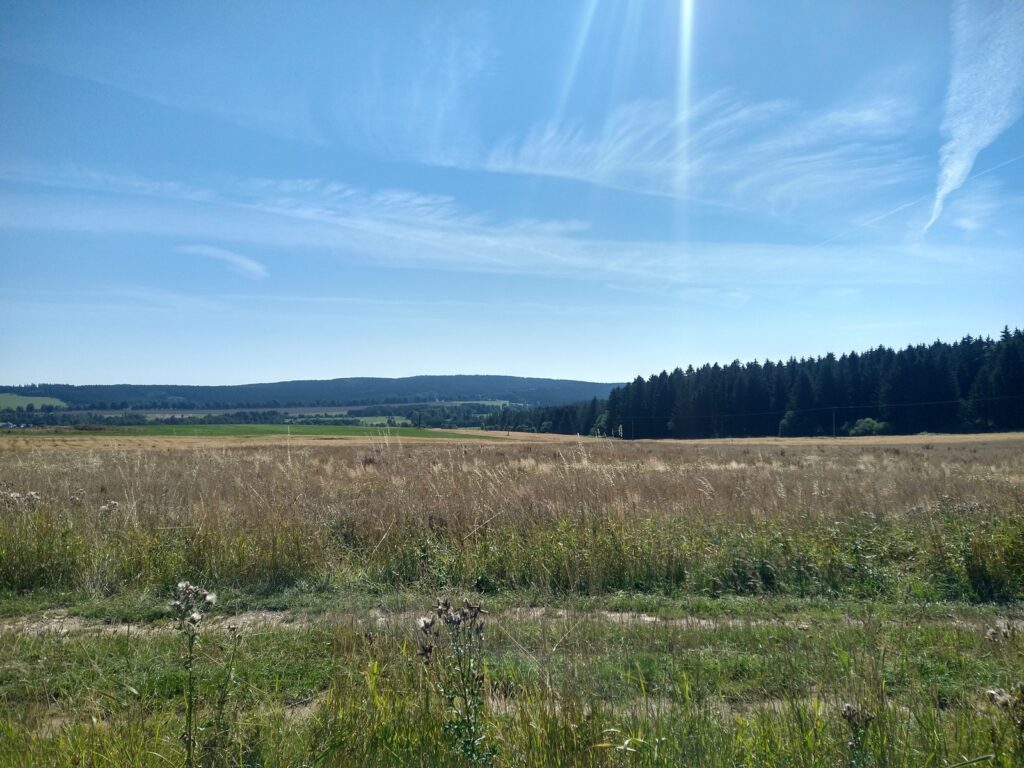 SAAR23_00008