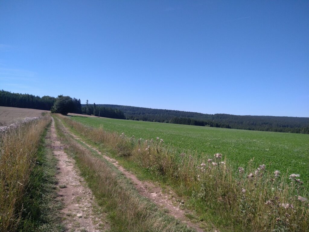 SAAR23_00009