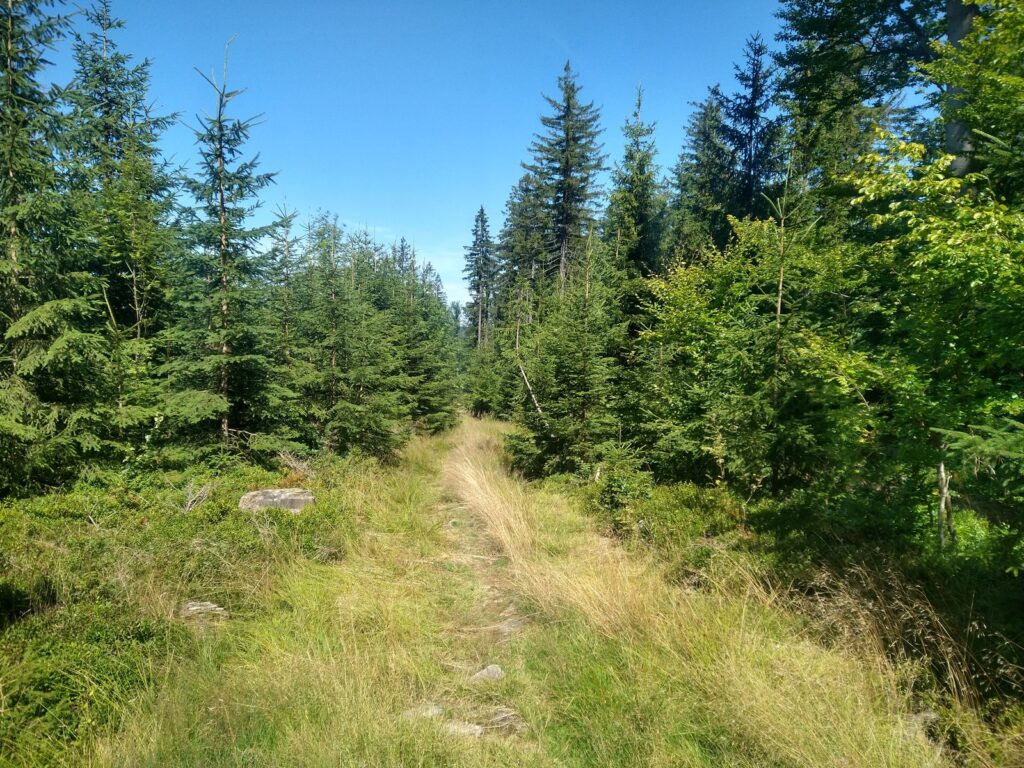SAAR23_00011