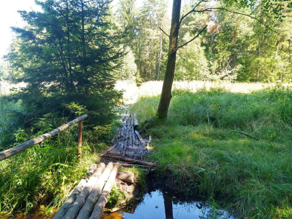 SAAR23_00020
