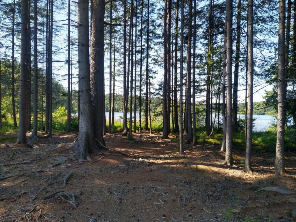 SAAR23_00021