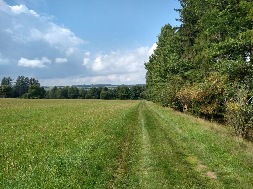 SAAR23_00023