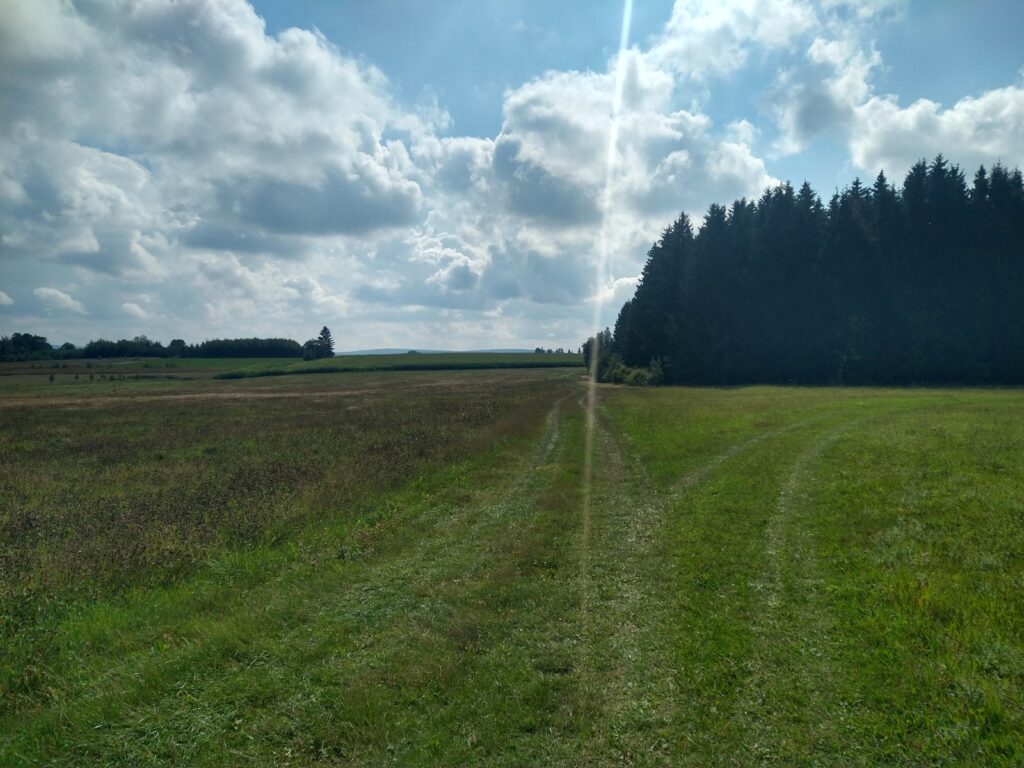 SAAR23_00024