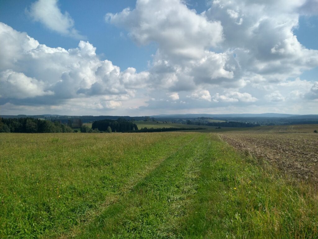 SAAR23_00025