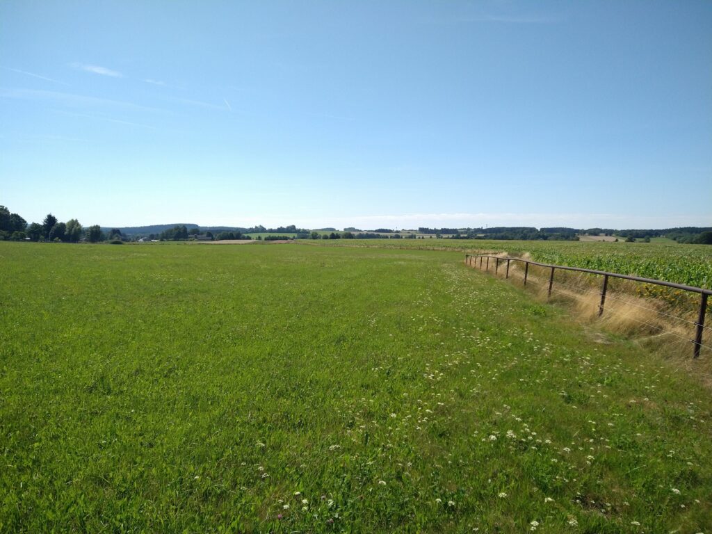 SAAR23_00026